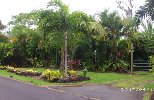 Leilani Estates House | Top Five Rated Vacation Rental In Pahoa , Discounted Rates in November!