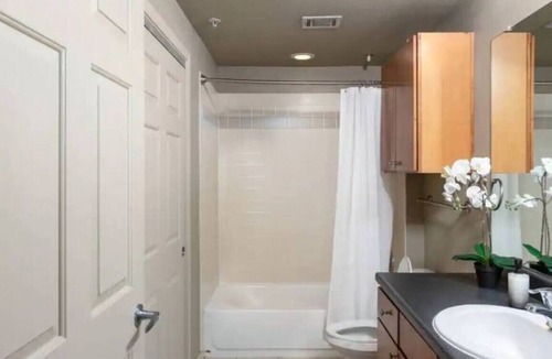 West Campus Apartment | TP 401 Luckey · Lovely 2 Bedroom Condo, Can't beat the location!