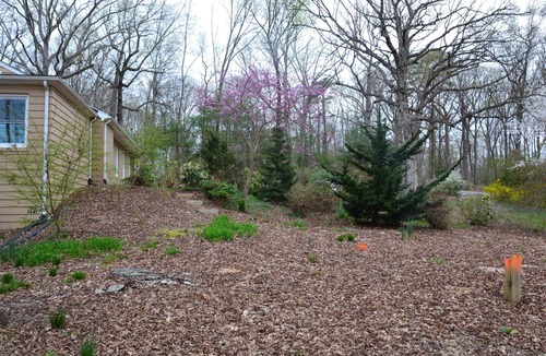 Fredericksburg House | Tranquility, Civil war park walk, and sauna
