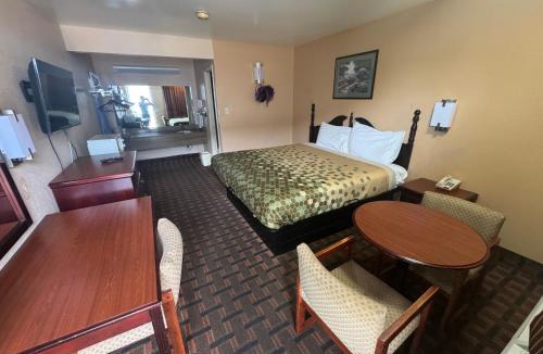 North Chesterfield Hotel | Travel inn