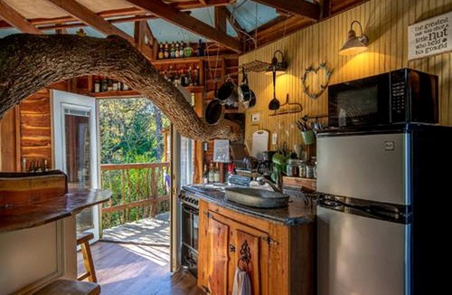 Celeste Cabin | Tree House Rental with Private Pool in Celeste, for Glamping Adventures in Texas