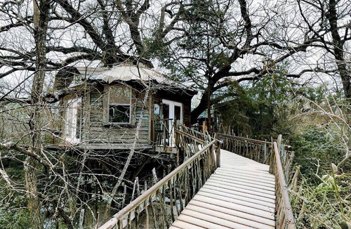 Celeste Cabin | Tree House Rental with Private Pool in Celeste, for Glamping Adventures in Texas