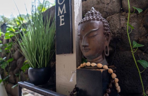 Wailuku Apartment | Unit 4 Maui Ohana Modern Studio