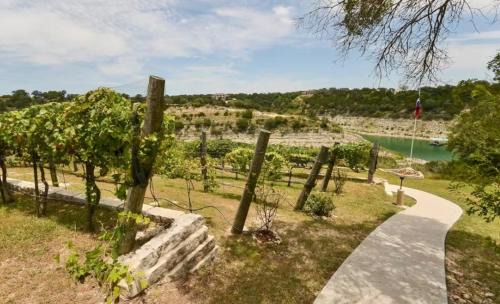 Lago Vista House | Vineyard Duplex Retreat: Lakefront Views with Private Dock Access