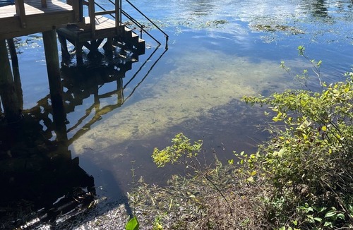 Crawfordville House | Wakulla River waterfront beautiful home directly on the river with dock