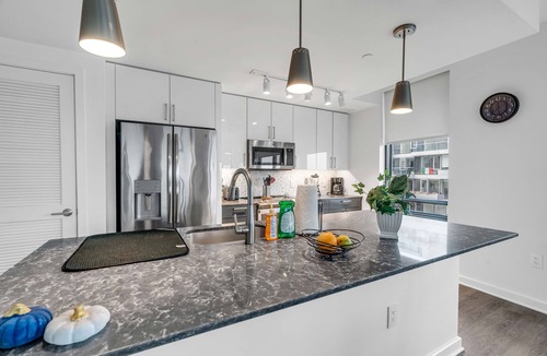 Capitol Hill Apartment | Waterfront 2BR Apt near Nationals Park by RedAwning