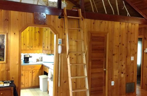 Port Republic House | Waterfront Cabin with Million Dollar View and Luxury Bath! Find Shark's Teeth!