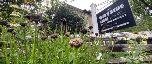 Ellicott City Bed & Breakfast | Wayside Inn Bed and Breakfast