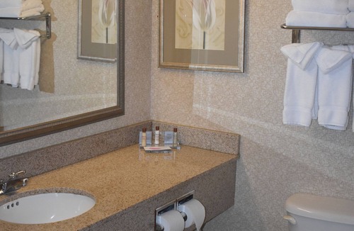 Paw Creek Hotel | Wingate by Wyndham Charlotte Airport I-85/I-485