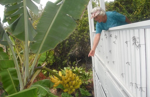 Kalaoa House | Wir sprechen Deutsch. Lovely studio with kitchenette, spacious lanai,TV and WiFi