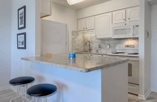 Northeast Virginia Beach Apartment | Your Modern Beach Condo Awaits! Sun & Dolphins