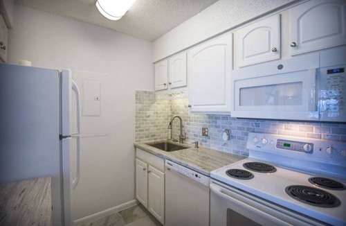 Northeast Virginia Beach Apartment | Your Modern Beach Condo Awaits! Sun & Dolphins