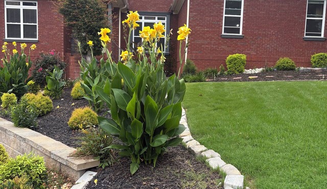 2 bedrooms/private baths, wheelchair accessible. Way more to enjoy than 2 rooms.