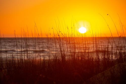 940 Cutter Court at The Sea Pines Resort