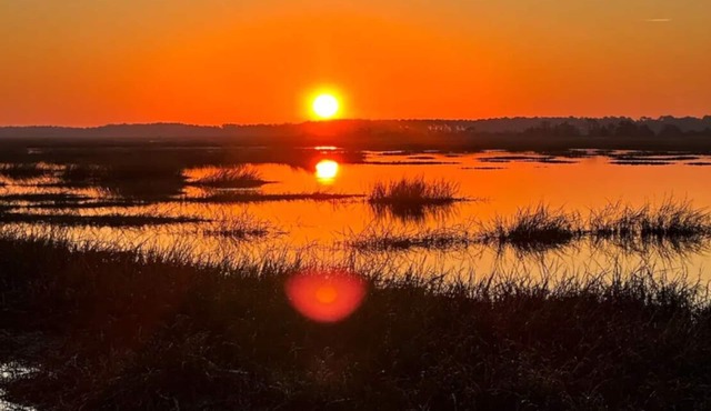 Amazing inlaw suite with marsh sunrise & incredible wildlife including dolphins