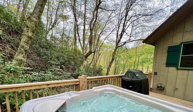 Appalachian Breeze - Hot Tub, Firepit, Wi-Fi