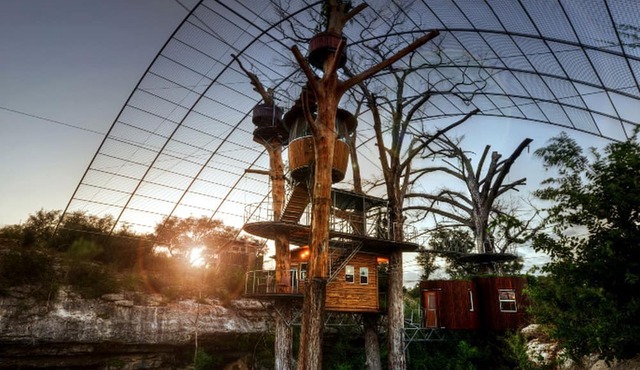 Astonishing Family-Friendly Tree House near Austin, Texas