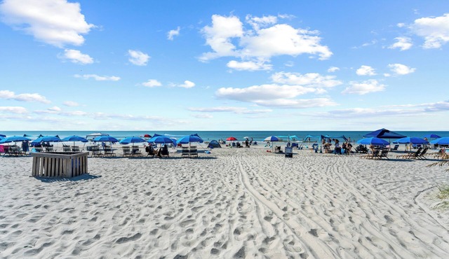 Beach Access: Oceanfront Hilton Head Studio