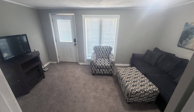 Beautiful 1-bedroom apartment perfect for traveling professionals.