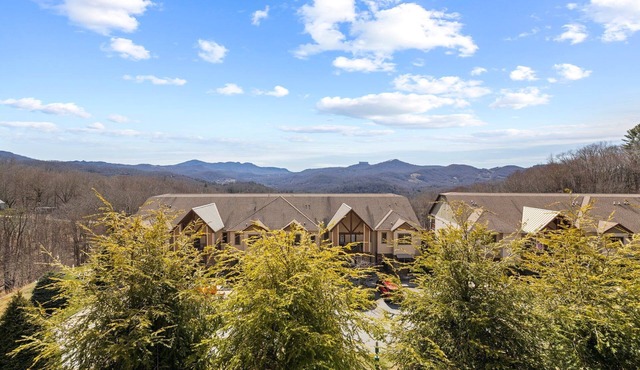 Beautiful 1 Level Condo with Grandfather and Sugar Mountain Views