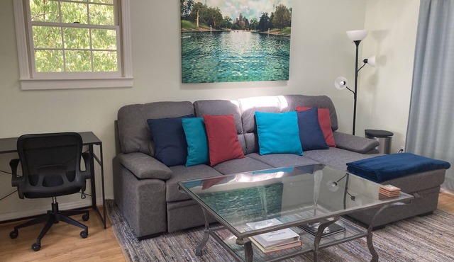 Centrally Located Treehouse Studio Apt