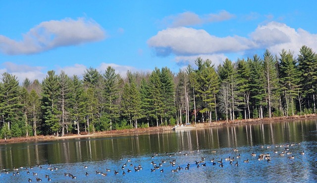 Charming Lakefront Cottage with WiFi and AC
