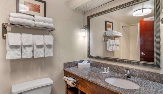 Comfort Inn & Suites Athens North
