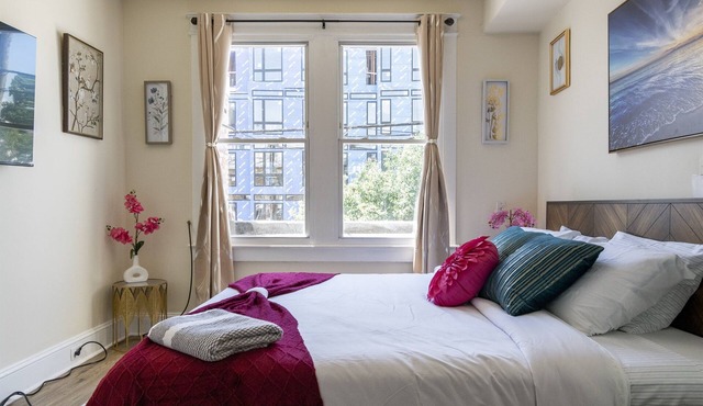 Cozy Apartment at Washington DC! Sun Filled & Comfortable!