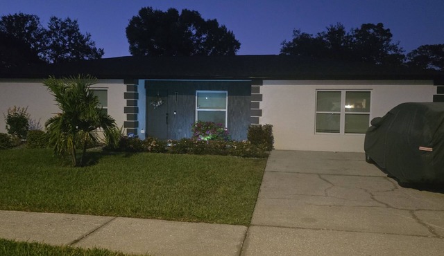 Cozy Private Studio Minutes Away To Tampa Close to Everything !