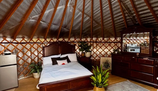 Creek Side Yurt, On-Site Sauna/Tea Shop/Market, Edge of Pisgah, Craggy Gardens