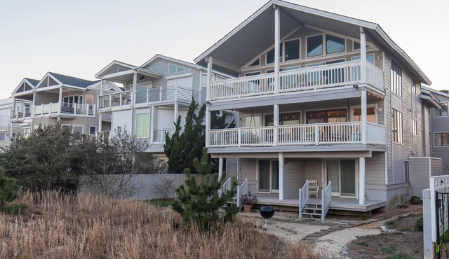 Dolphin Watch - Oceanfront - North End VB