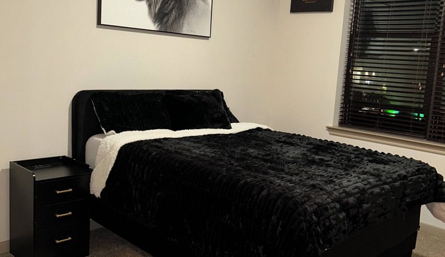 Elite Skyline view apartment with AC, fitness room, WiFi in vibrant Houston Tx
