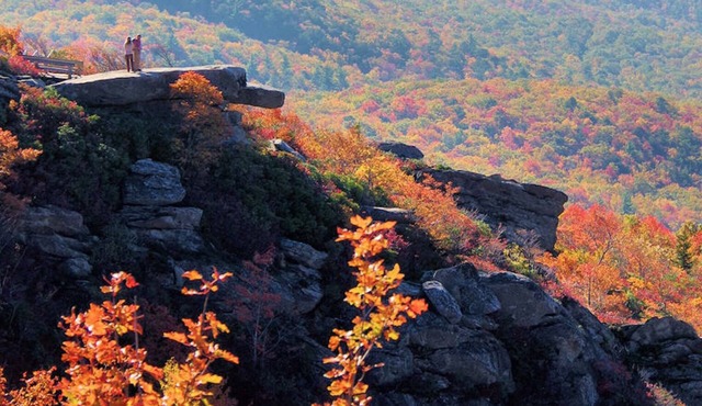 Elk Hill Escape Cozy Luxe in Banner Elk. See Grandfather Mtn, Boone, Wineries