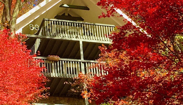 Escape to a Charming 3-bedroom cabin wonderland, with amazing long range views.