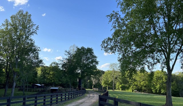 Escape to Our Serene Farm Cabin, Surrounded by Beautiful Rolling Pastures!
