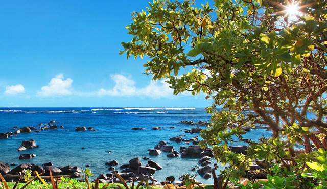 Expansive Ocean Views and a Few Steps to the Beach