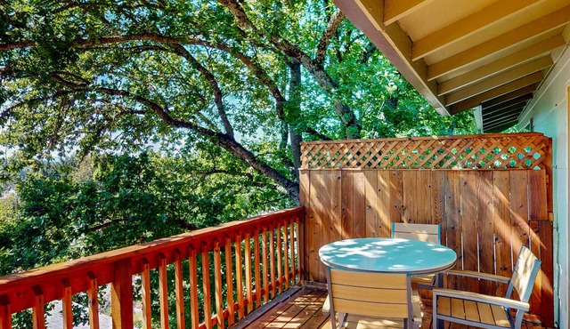 Full duplex with patio-deck, mountain views, washer&dryer, dogs allowed in Eugene