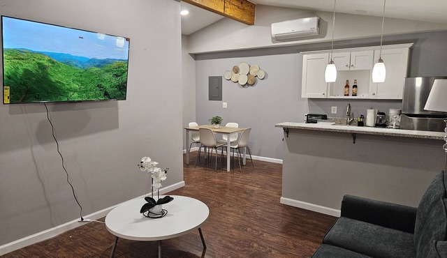 Gorgeous Suite - 1 Bed, 1 Bath