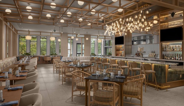 Hilton Jacksonville At Mayo Clinic
