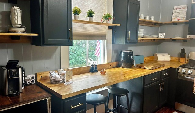 Historic Downtown Apt with hot tub-walk downtown