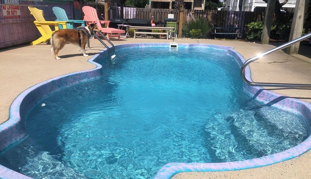 Kids & Pets-2 Blocks to Beach-Great Location-Walk-Bike Everywhere-OCEAN DREAM ON