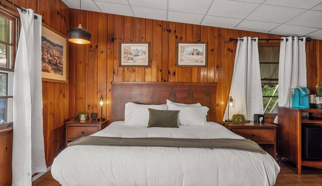 King Hotel Cabin 5 minutes to DT Hendo & Flat Rock