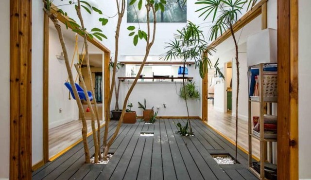 Luxurious Tree House