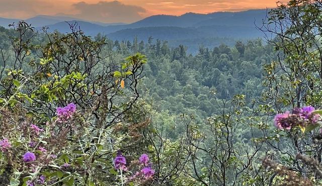 Luxury Cabin, Stunning Views, Near Boone, ASU, Blue Ridge, Hiking, Fishing, ATV
