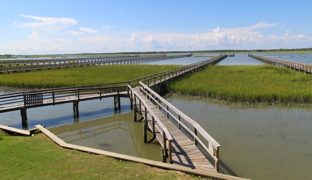 Marsh and Ocean Views with Private Dock~ Reel Blessed