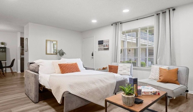 Modern Apartment near The Domain