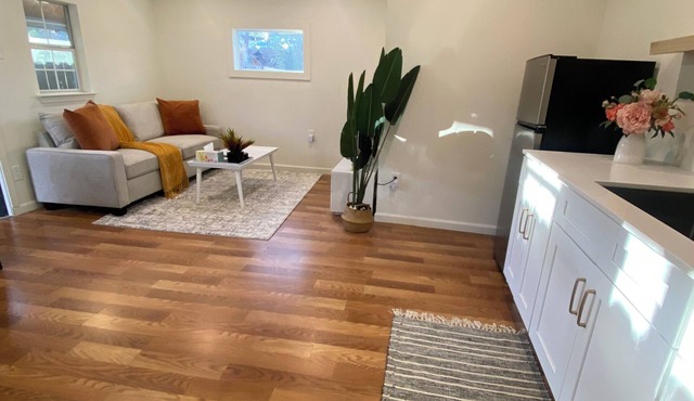 Modern One bedroom Near Bishops Arts District