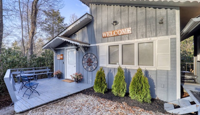 Mountain house sleeps 4 w/deck & firepit, 5mi to Grandfather Mtn, pet friendly!