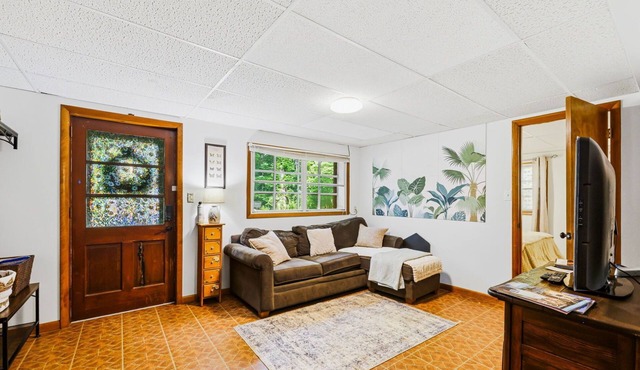 Nature in the City - play, work, study in seclusion! One Bedroom Queen
