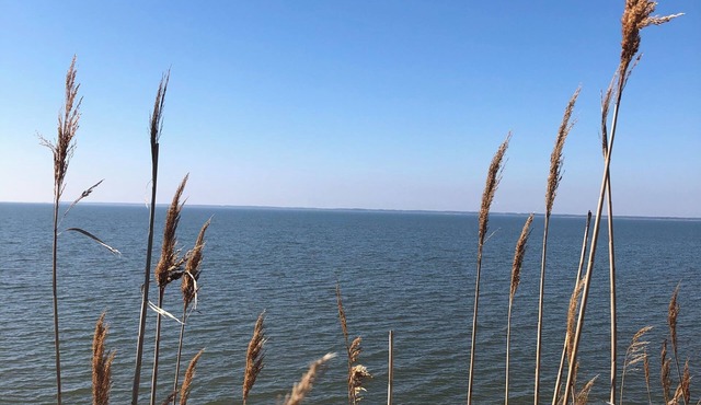Near Chincoteague & Assateague Island Charming 2-bedroom cottage